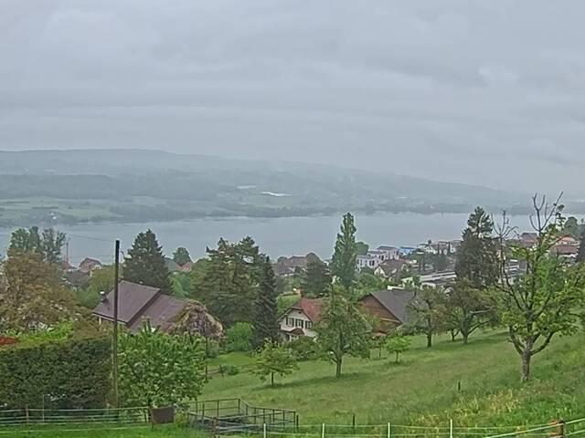weather Webcam Birrwil