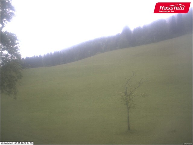weather Webcam Weissbriach (Gemeinde Gitschtal)