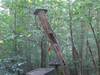 cámara web Liubliana (Vogelfutterhäuschen im ZOO webcam Ljubljana)